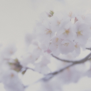 美少女光身体裸体露阴沟
